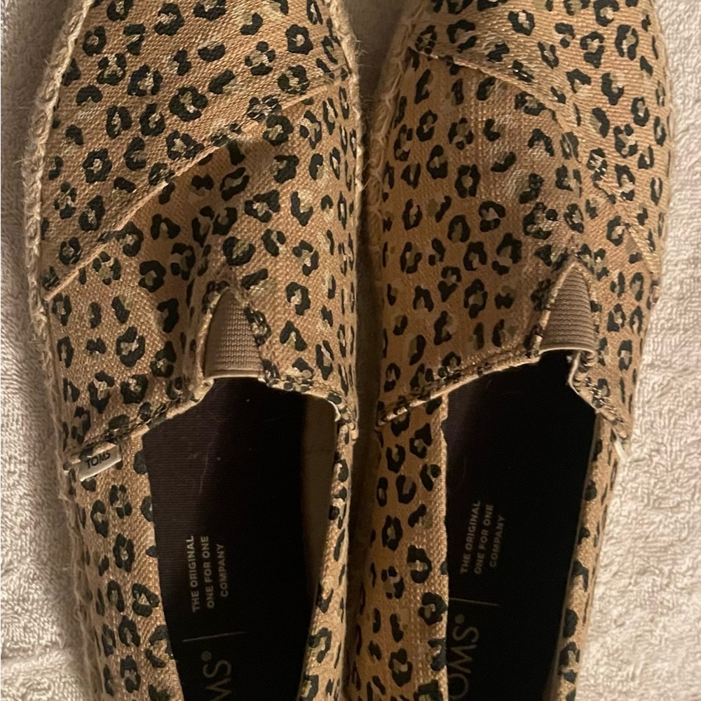 Toms Leopard print
